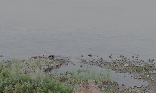 SMITH, Hear us marching up slowly, 2012